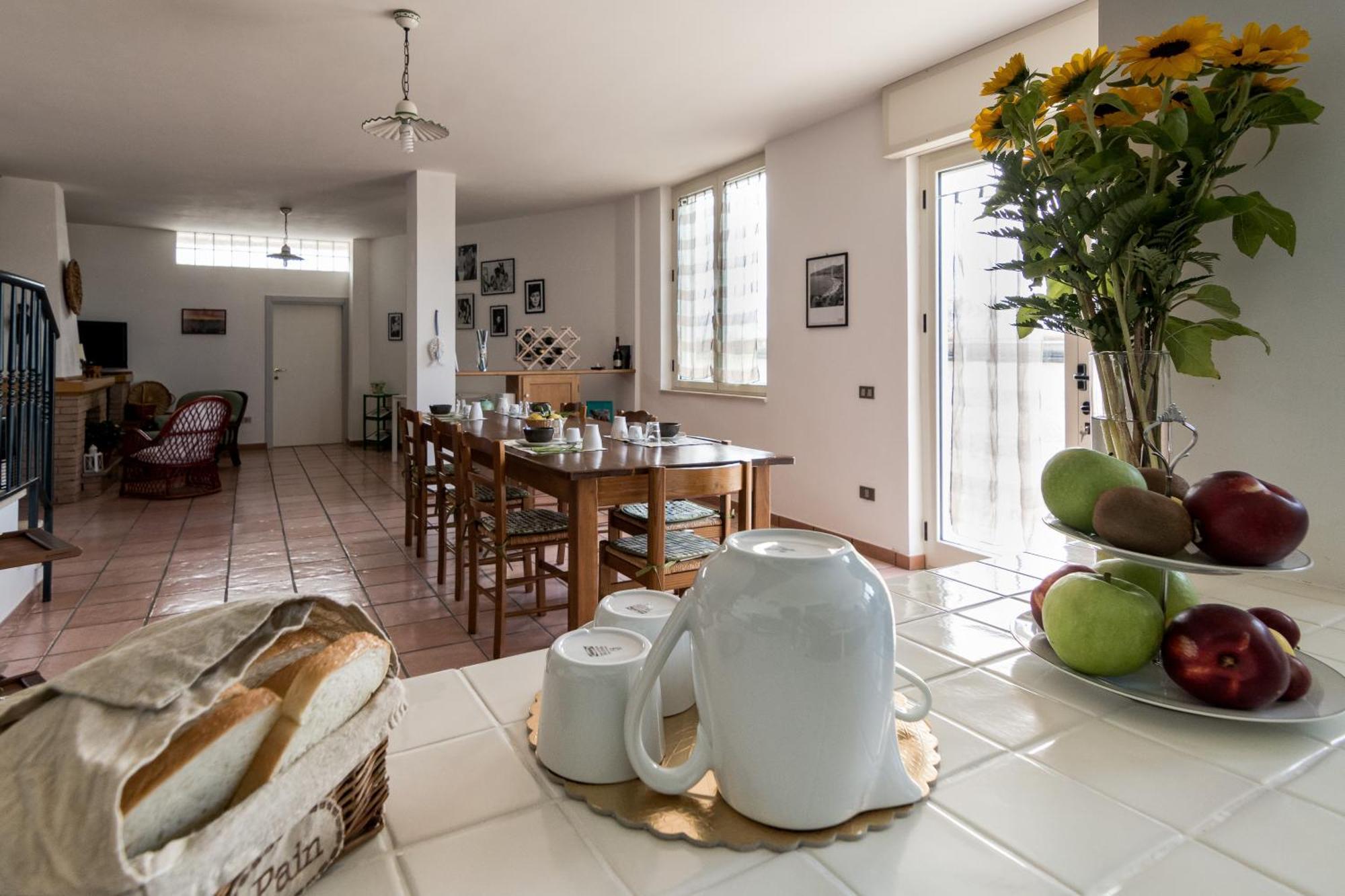B&B Belvedere